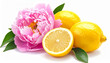 © JulakhaAkter - Vibrant arrangement of fresh lemons and a delicate pink peony flower showcasing natural beauty and citrus freshness on a clean white background
