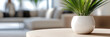 © syhin_stas - Green plant in a white pot creating a contemporary home decor, minimalist interior design providing a sense of calm and well being in a modern living room