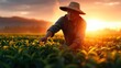 © svastix - A dedicated farmer carefully harvesting tea leaves in a lush green field, illuminated by the warm glow of sunset, capturing the essence of hard work and tradition in agriculture.