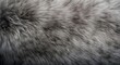 © vxnaghiyev - Luxury gray fur texture surface with detailed pattern