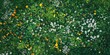 © xartproduction - Aerial view of colorful wildflowers and green grass in a meadow