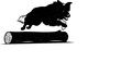 © Ayam - A black silhouette of a dog leaping over a log