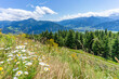© robertharding - View of flowers, meadows and mountains from Plettsaukopf Reservoir on a sunny day, Bruckberg, Salzburg, Austria, Europe