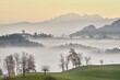 © Stefan Huwiler/imageBROKER - Meadows and trees in autumnal early morning mist, Säntis in the background, Hirzel Canton