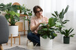 © New Africa - Woman wiping beautiful houseplant leaf at home