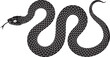 © Masud - Vector elongated snake silhouette illustration. Black serpent isolated tattoo design.