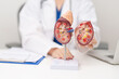 © Jo Panuwat D - Doctor with Kidney Adrenal gland anatomy model. disease of Urinary system and Stones, Cancer, world kidney day, Chronic kidney, Urology, Nephritis, Renal, Transplant and health concept