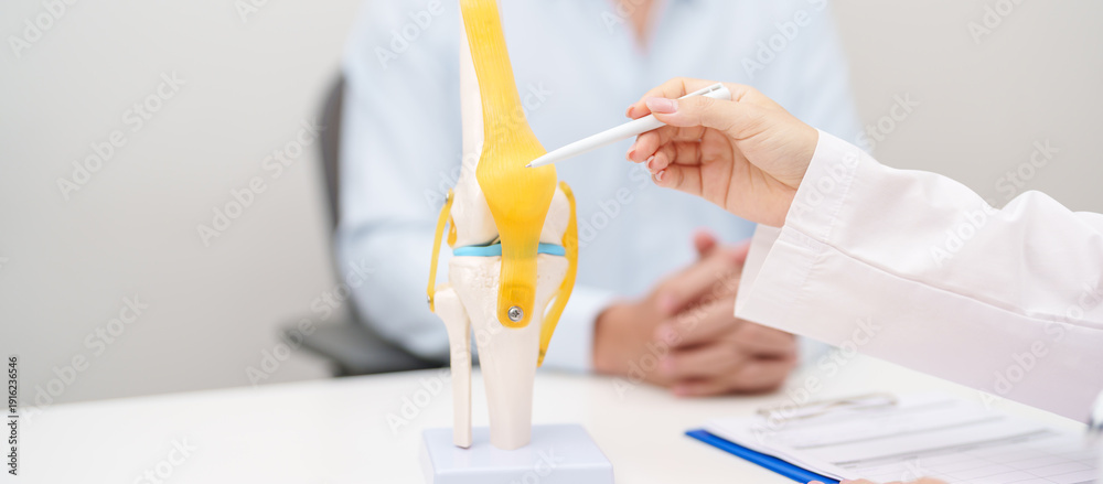 Doctor with Human Knee joint anatomy model. Osteoarthritis ...