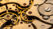 © wt - Intricate mechanical watch movement with gold gears and ruby bearings showcasing complex horology craftsmanship and precision engineering in macro detail