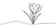 © SREEMOTIJANOTA - line art, bouquet of flowers crocus spring and summer, drawing with one line. vector illustration white background, Spring crocus flower in continuous line art drawing style. Minimalist black linear.