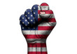 © MDALAM - American flag fist raised in protest or solidarity