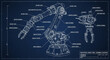 © Reva - Industrial robotic arm blueprint technical drawing schematic.