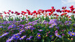 © mei - A colorful sea of flowers blooms in spring