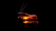© SOFIA ELISABET  - Striking silhouette image expertly combines a majestic oryx antelope profile with a vibrant African savanna sunset reflecting over still water.