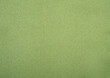 © Syphoto - Sage Green Upholstery Fabric