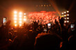 © 9parusnikov - Enthusiastic fans with hands raised at bright orange concert