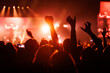 © 9parusnikov - Crowd with fists and hands raised cheering at red music concert