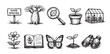 © Bogdan - Hand-drawn botanical illustrations in black and white. Includes flora, fauna, and tools. Perfect for nature, science, education, conservation, ecology themes.