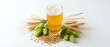 © Yuliia - Fresh beer glass with foam surrounded by green hops, golden wheat ears and barley grains on white background for brewing industry and oktoberfest celebration.