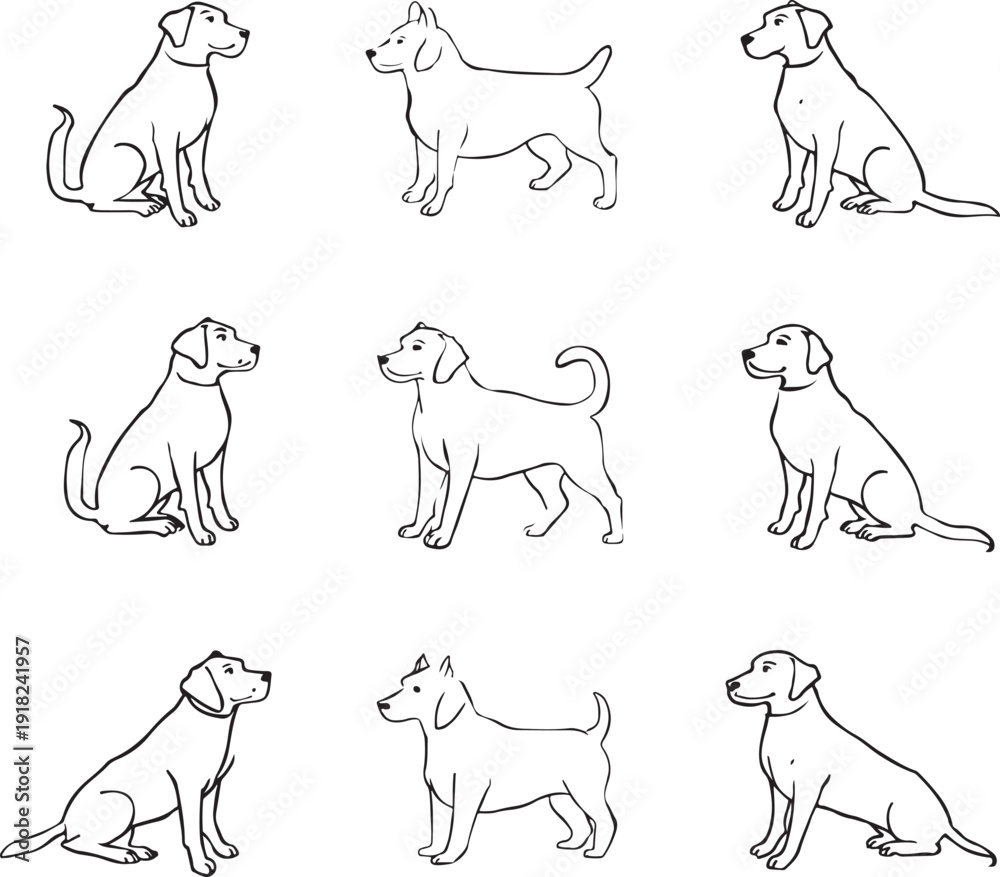 Nine black and white line of dogs in various poses and positions ...