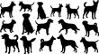 © GOKULRATAN - Collection of diverse dog breeds in black silhouette