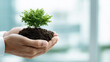 © Broccolini - corporate sustainability concept with green plant growing in hands of businessman, sustainable business growth and environmental responsibility, professional male in suit holding soil with small sprou