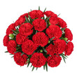 © Mishrat - A vibrant bouquet of deep red roses arranged beautifully in a lush cluster