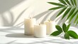 © Fevila - Serene white candles with green leaves casting shadows on a calm surface, viewed from above