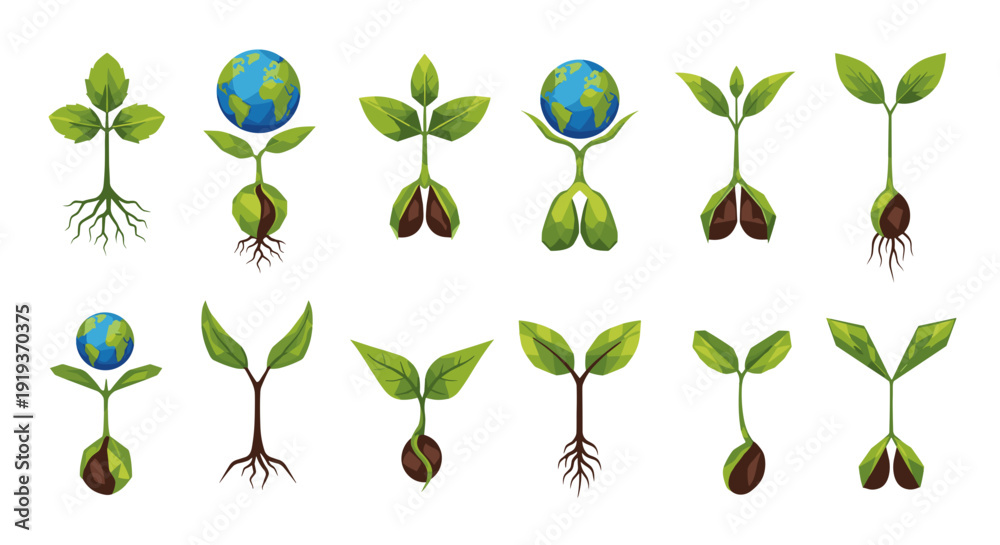 Sequence of plant growth stages from seedling to mature plant の Stock ...