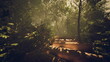 © icetray - golden morning light on forest walkway, soft shadows and crisp leaf textures, warm palette evokes cozy outdoor lifestyle and wellness feelings