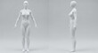 © Rakib - Front and side view of a realistic 3D female mannequin model on a clean white background, perfect for fashion or anatomical references.