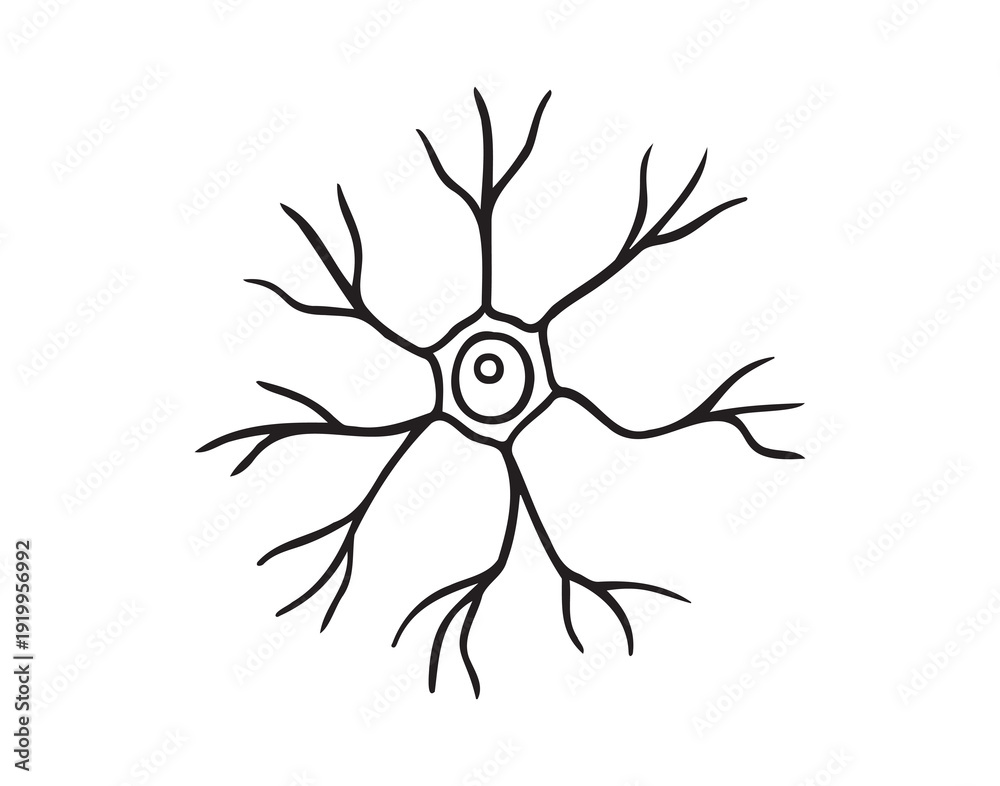 neuron cell doodle hand drawn icon. Outline pyramidal neuron cell ...