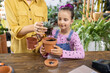 © sofiko14 - A young girl learns about gardening as she helps her mother plant a succulent in a pot