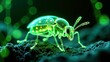 © Black - Green Beetle Technology Art Painting