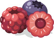© Nida - Fresh Mixed Berries Isolated on Transparent Background Organic Fruit Concept