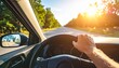 © IdaSukma - Driving on a sunny day through a scenic road with trees and sunshine illuminating the path ahead