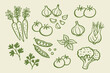 © Victoria - Vegetable doodle set hand drawn vector illustration
