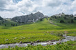 © Daniil - Mountain river flows through grassy meadow with view to green hills with conifer trees and big rocky mountain wall with sharp pinnacle under cloudy sky. Sunlight and shadows of clouds in alpine valley