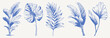 © Alena creator - Tropical leaves botanical jungle vintage hand drawn. Crayon sketch drawing line art set with banana, monstera and palm foliage shapes. Retro decorative summer plant illustrations.
