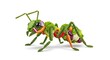 © Gocek - Creative ant made of vegetables on white background