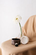 © Tania Cervian/Stocksy - Flower in Vase with Ceramic Bowls