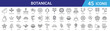 © Digital Bazaar - Set of 45 outline botanical plant and flower icons including tree, cannabis, orchid, geranium, daisy, pine. Vector line style for web and mobile apps