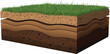 © MstBabli - Soil layers cross section with grass surface geology ground structure vector illustration