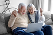 © luciano - A happy elderly couple, sitting on the sofa in a modern home, embrace while using their laptops, excited by some good news and spending carefree, cheerful, and harmonious moments together.