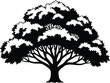 © MSTJANNA - A black silhouette of a tree with a thick trunk and sprawling branches against a white background