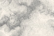 © julia_khimich - Flowing abstract lines forming a premium decorative texture. Elegant vintage engraving illustration, perfect for luxury branding, packaging design, editorial layouts, andmodern backgrounds.