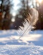 © SG- design - Eine Feder fliegt auf eine Schneedecke unter einem hellen Winterhimmel mit sanftem Schneefall.