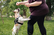 © Olga Sibirskaya/Stocksy - Dog Training Session with handler