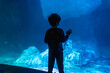 © unai - Young boy exploring underwater world at an aquarium