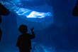 © unai - Child feeling wonder watching beluga whale in aquarium